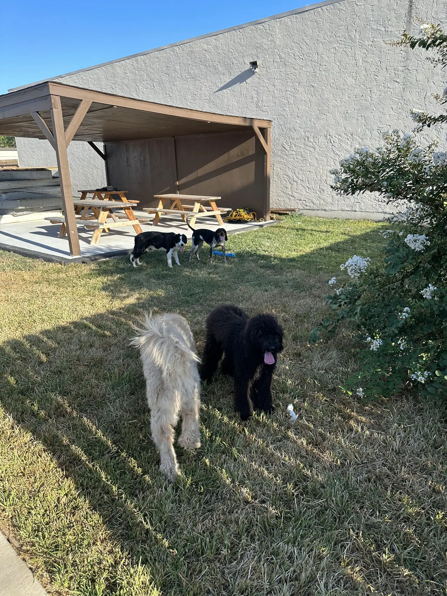 Large outdoor play area